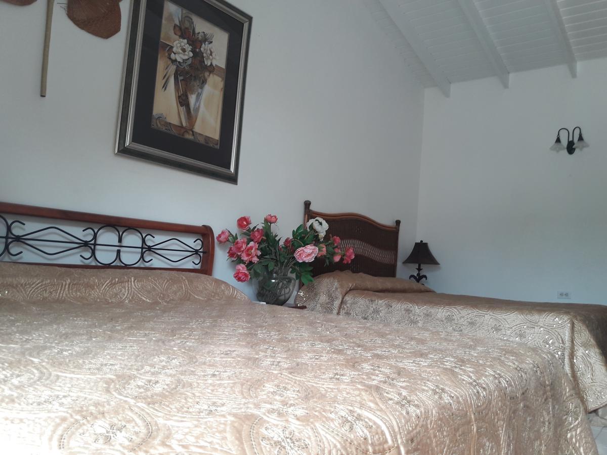 Aruba Harmony Apartments Oranjestad Luaran gambar