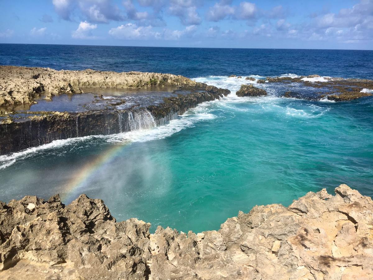 Aruba Harmony Apartments Oranjestad Luaran gambar