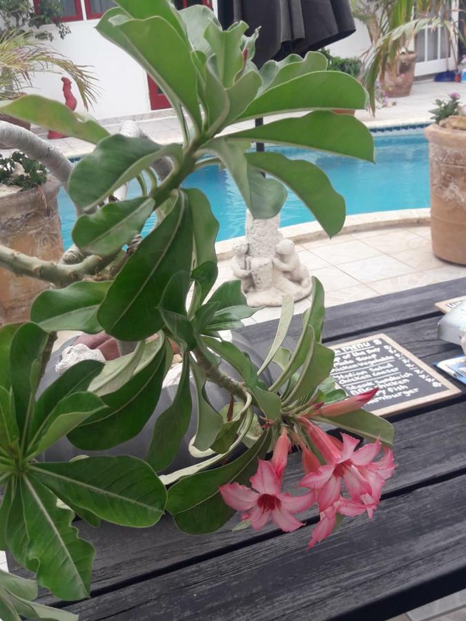 Aruba Harmony Apartments Oranjestad Luaran gambar